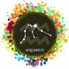 Sternzeichen zum Auswählen bunt - Unisex BIO T-Shirt 24 Vestis Unica - Latein zum Anziehen - sternz bunt aquarius ergebnis