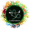Sternzeichen zum Auswählen bunt - Unisex BIO T-Shirt 26 Vestis Unica - Latein zum Anziehen - sternz bunt capricorn