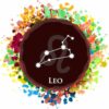 Sternzeichen zum Auswählen bunt - Unisex BIO T-Shirt 29 Vestis Unica - Latein zum Anziehen - sternz bunt leo ergebnis