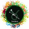 Sternzeichen zum Auswählen bunt - Unisex BIO T-Shirt 34 Vestis Unica - Latein zum Anziehen - sternz bunt taurus ergebnis