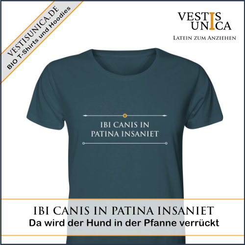 Top 10 der beliebtesten Motive 9 Vestis Unica - Latein zum Anziehen - ad ibicanis 500